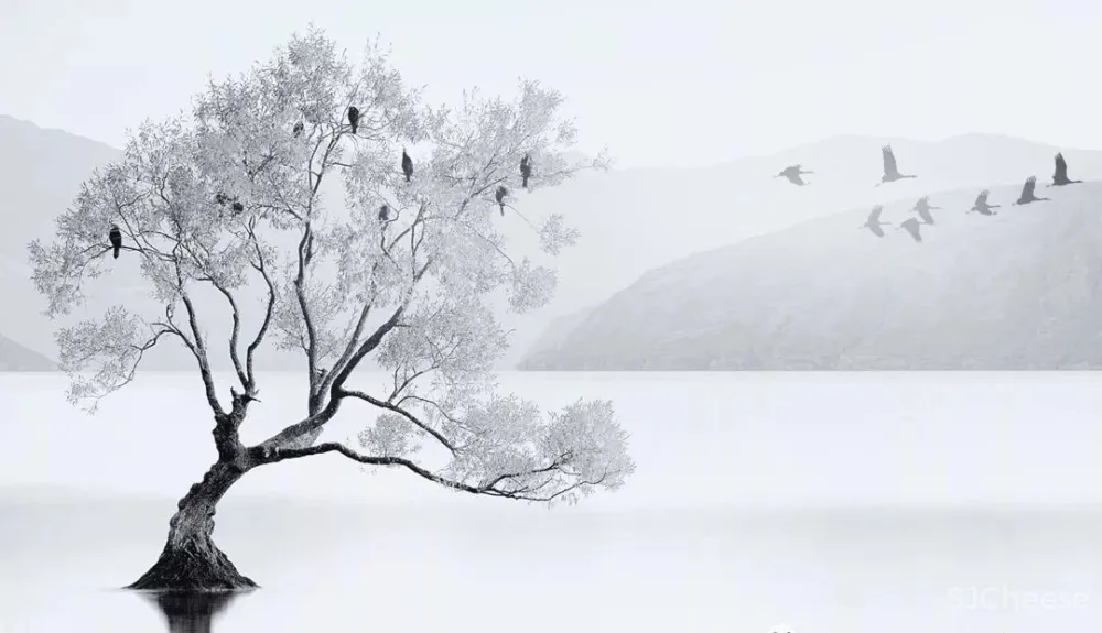 W.DESIGN 无间设计（吴滨）样板间专辑