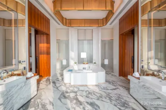 Zaha Hadid LTW-迪拜风尚驶入金陵•南京卓美亚酒店!