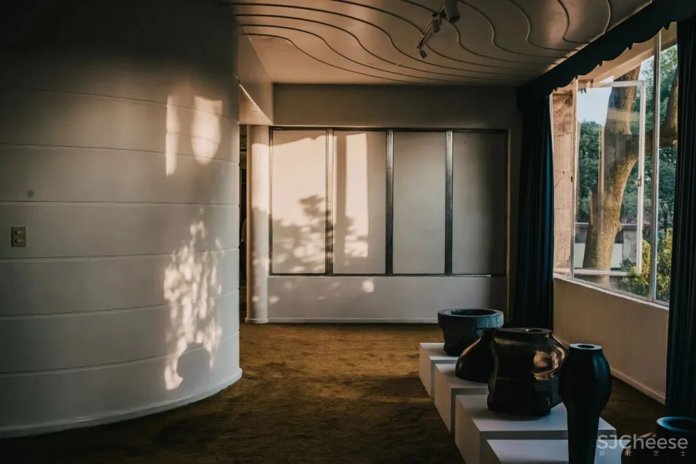 “集體收藏”與“恢復發現”