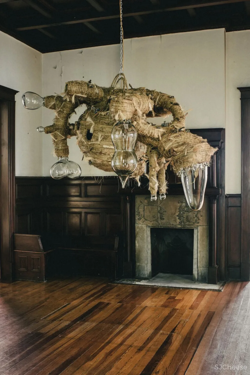 “集體收藏”與“恢復發現”