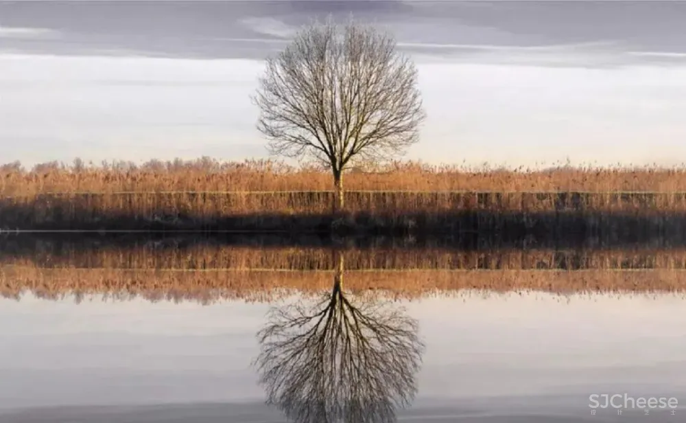 GBD 杜文彪专辑 售楼部