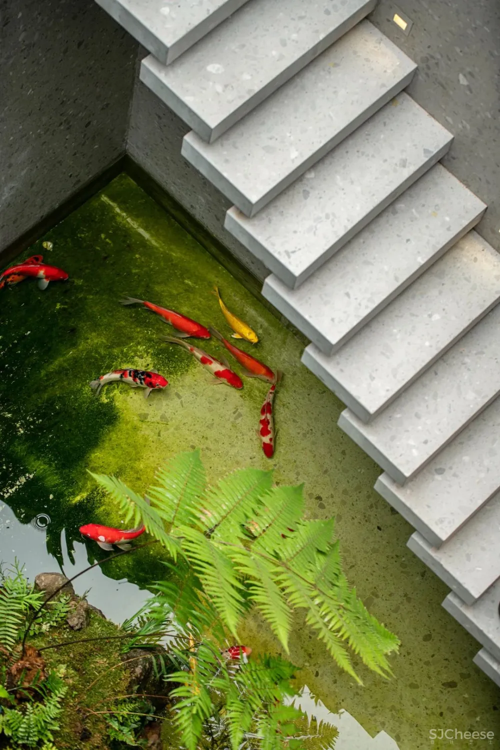 沈雷自宅 一种专属的生活方式和生活态度:真实,即动人