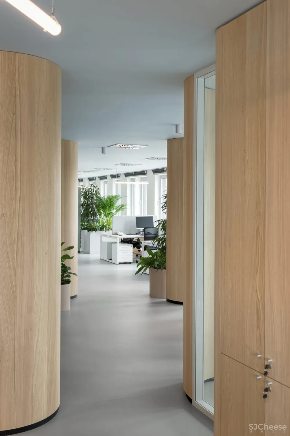 Autori | Roche Offfice , 现代舒适的办公空间