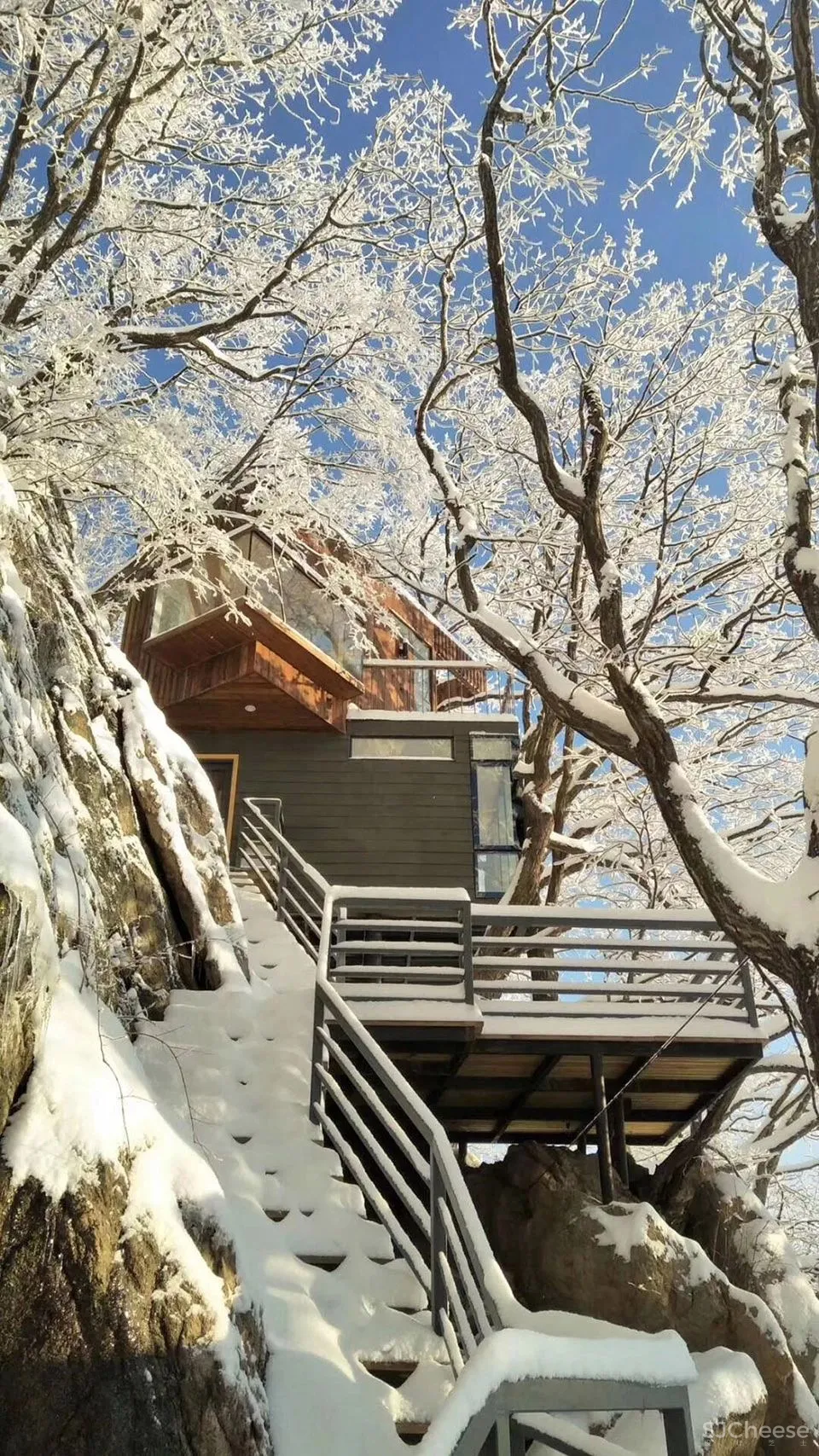 深山里的茶园民宿,美。