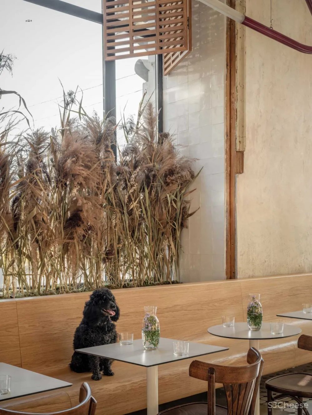 Veter Design | Grechka Lab Bakery , 浓厚的怀旧设计空间