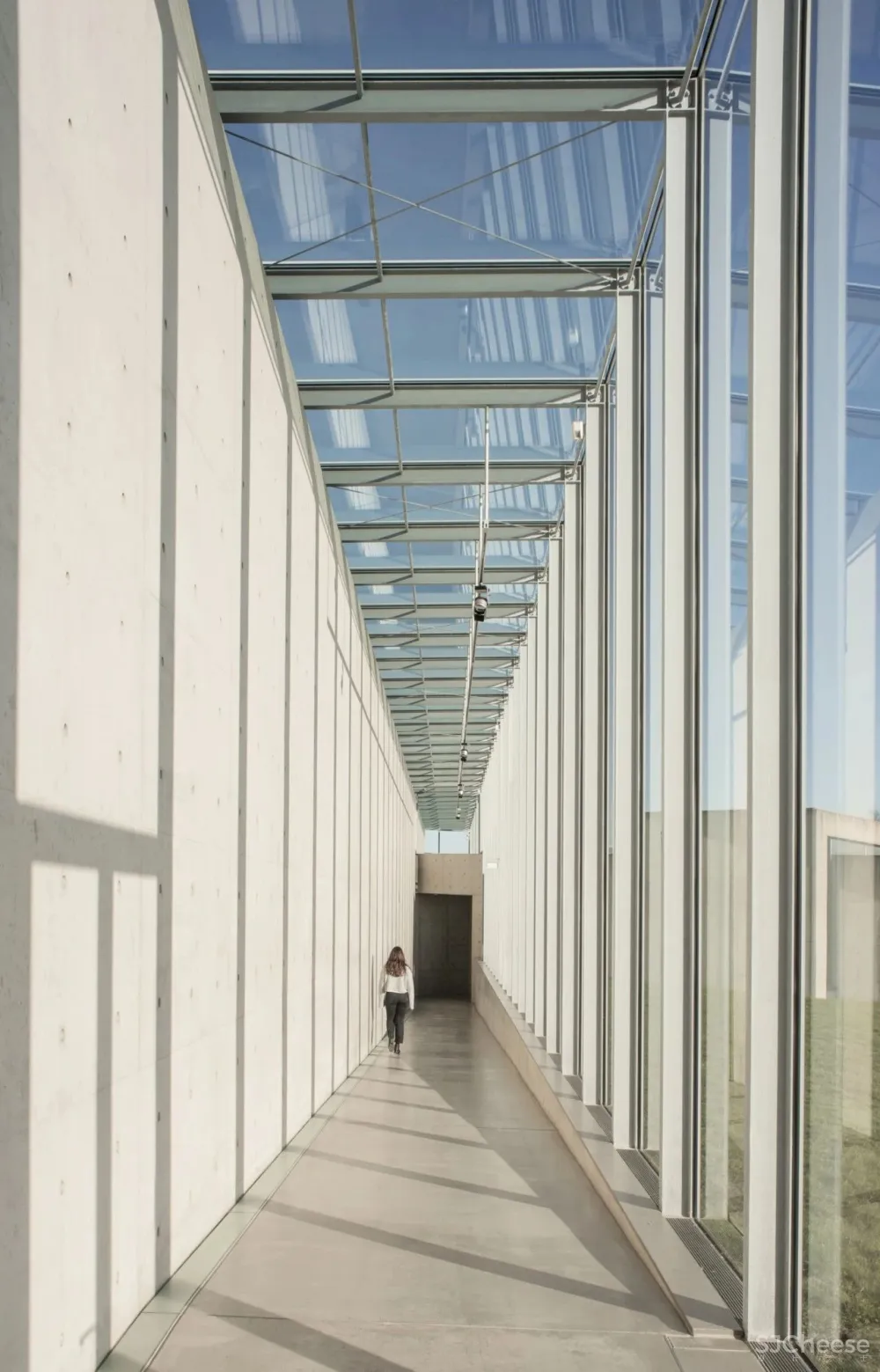 安藤忠雄丨清水混凝土诗人