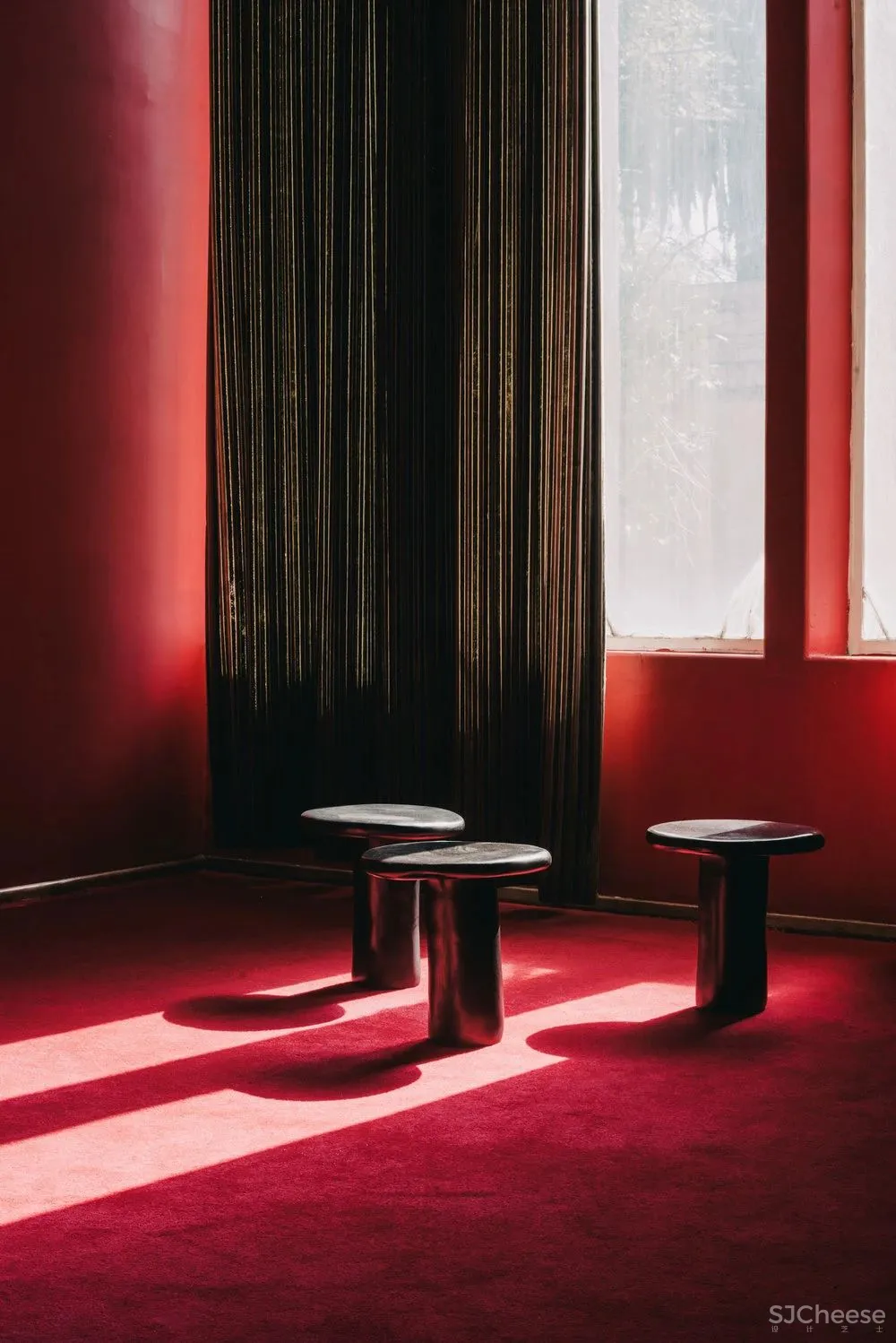 “集體收藏”與“恢復發現”