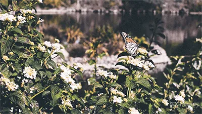 GBD 杜文彪专辑 售楼部