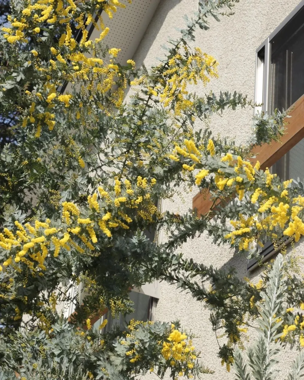 日本一主妇，晒100多㎡房子治愈无数人：没有客厅和电视，却是家居界的教科书！