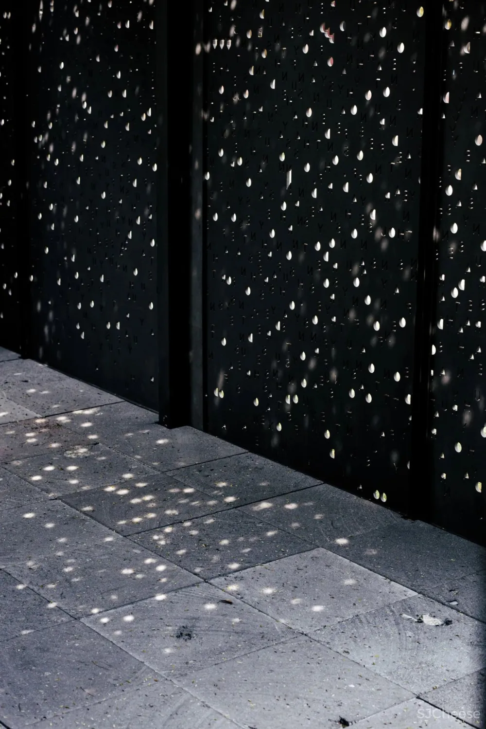 “集體收藏”與“恢復發現”