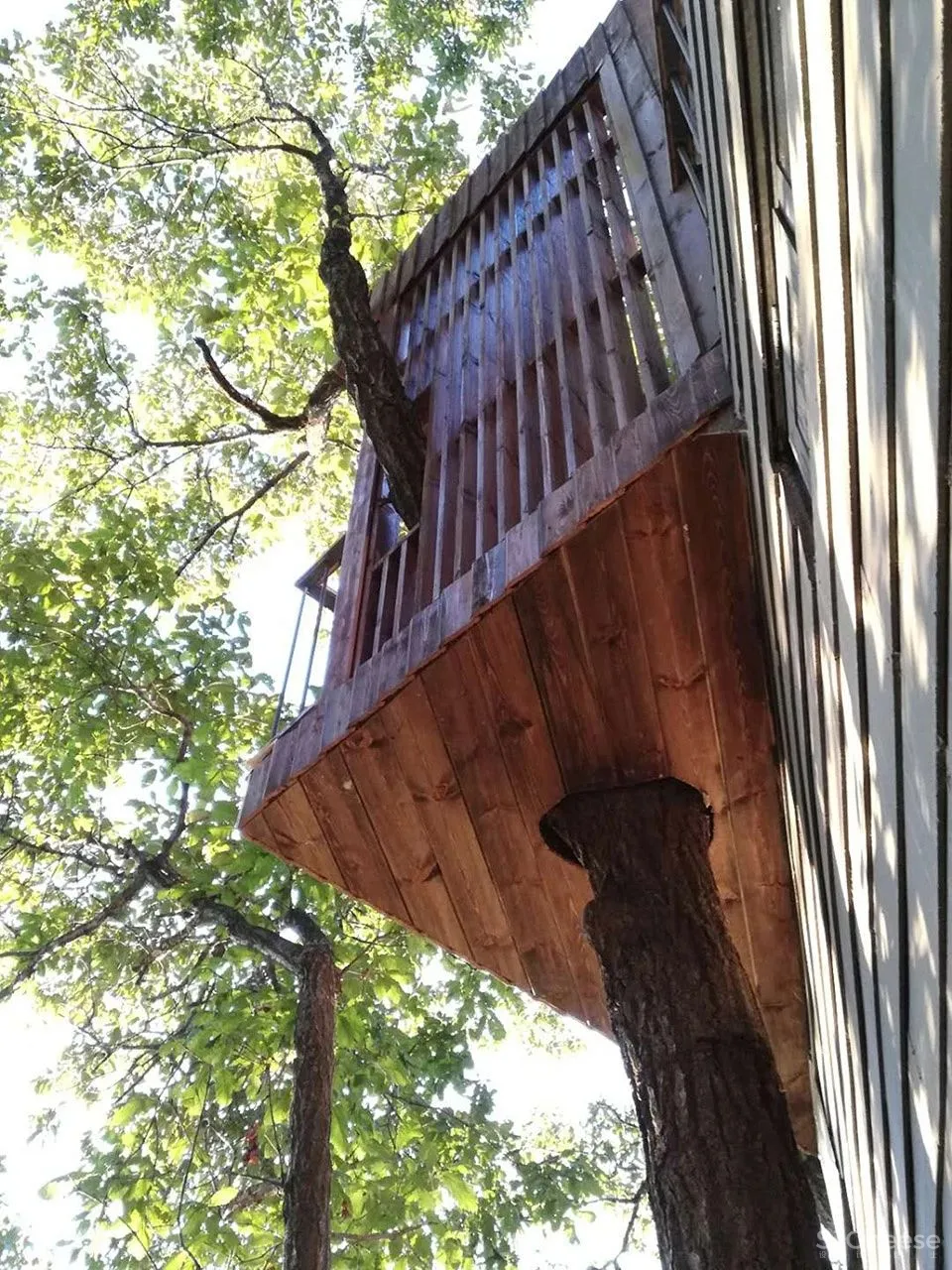 深山里的茶园民宿,美。