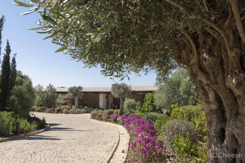 Foster + Partners | Dolunay Villa , 现代别致的海滨住宅