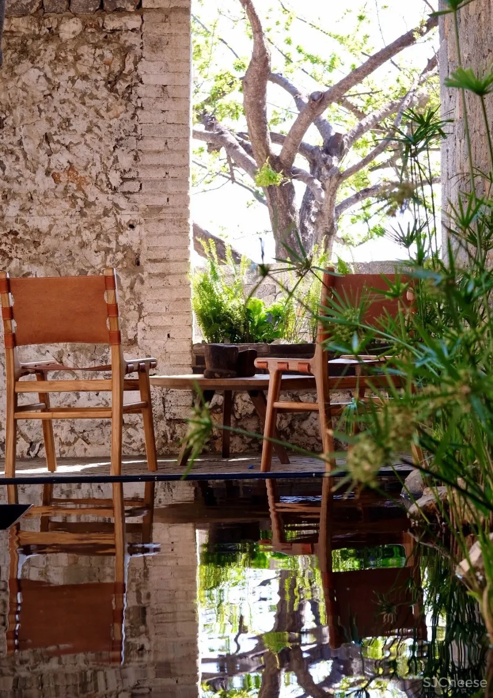 八旬 × 木夕大里酒店:梦想的岛屿,宁静而纯真