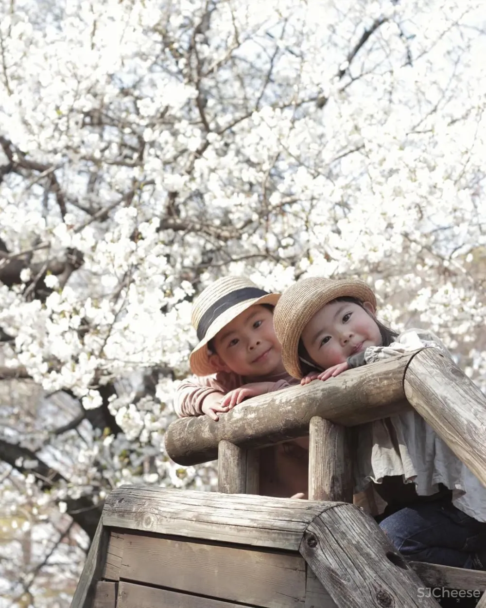 日本一主妇，晒100多㎡房子治愈无数人：没有客厅和电视，却是家居界的教科书！