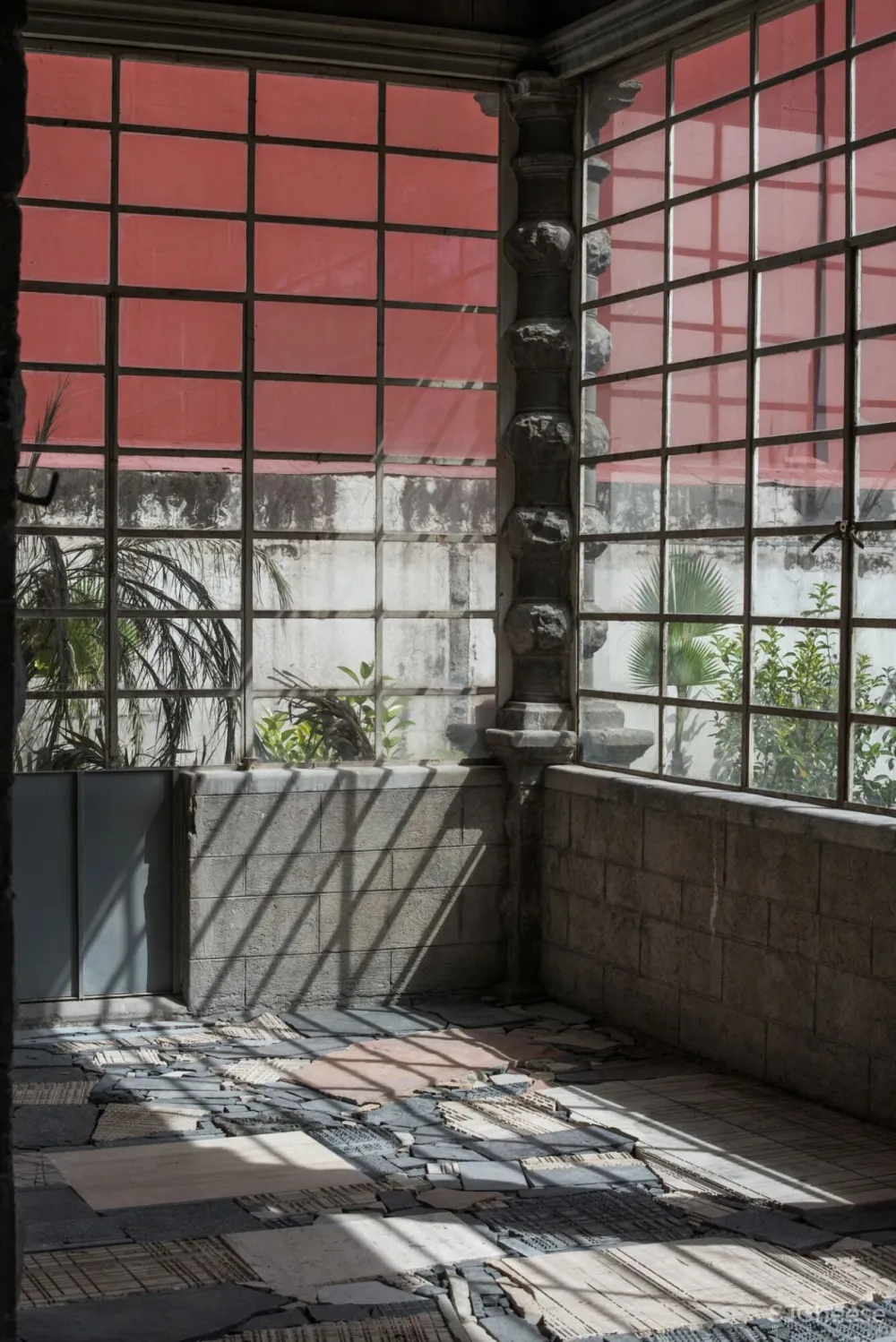 “集體收藏”與“恢復發現”