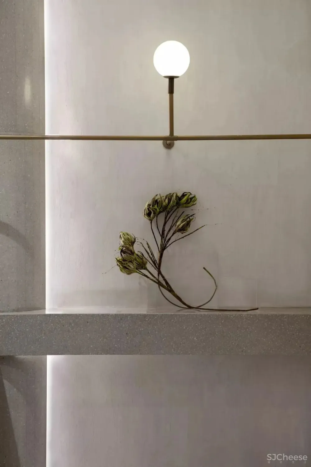 Panshine 派尚设计专辑