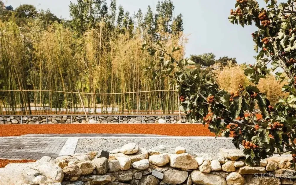 乡下有块地就能建造梦想家?让这个“玩乐队”的建筑师告诉你有多难