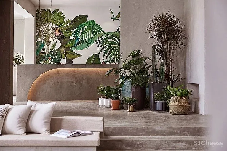 塔莎杜朵民宿｜时上空间设计