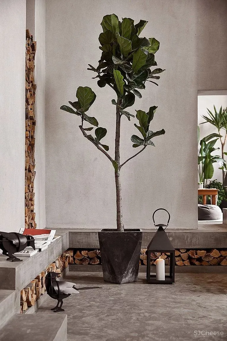 塔莎杜朵民宿｜时上空间设计