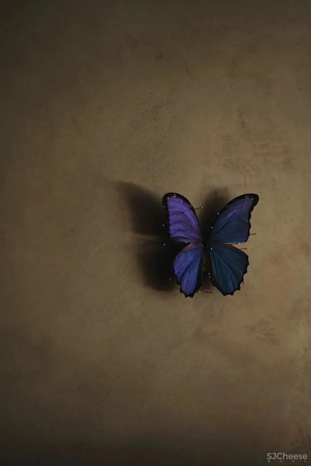 沈雷自宅 一种专属的生活方式和生活态度:真实,即动人