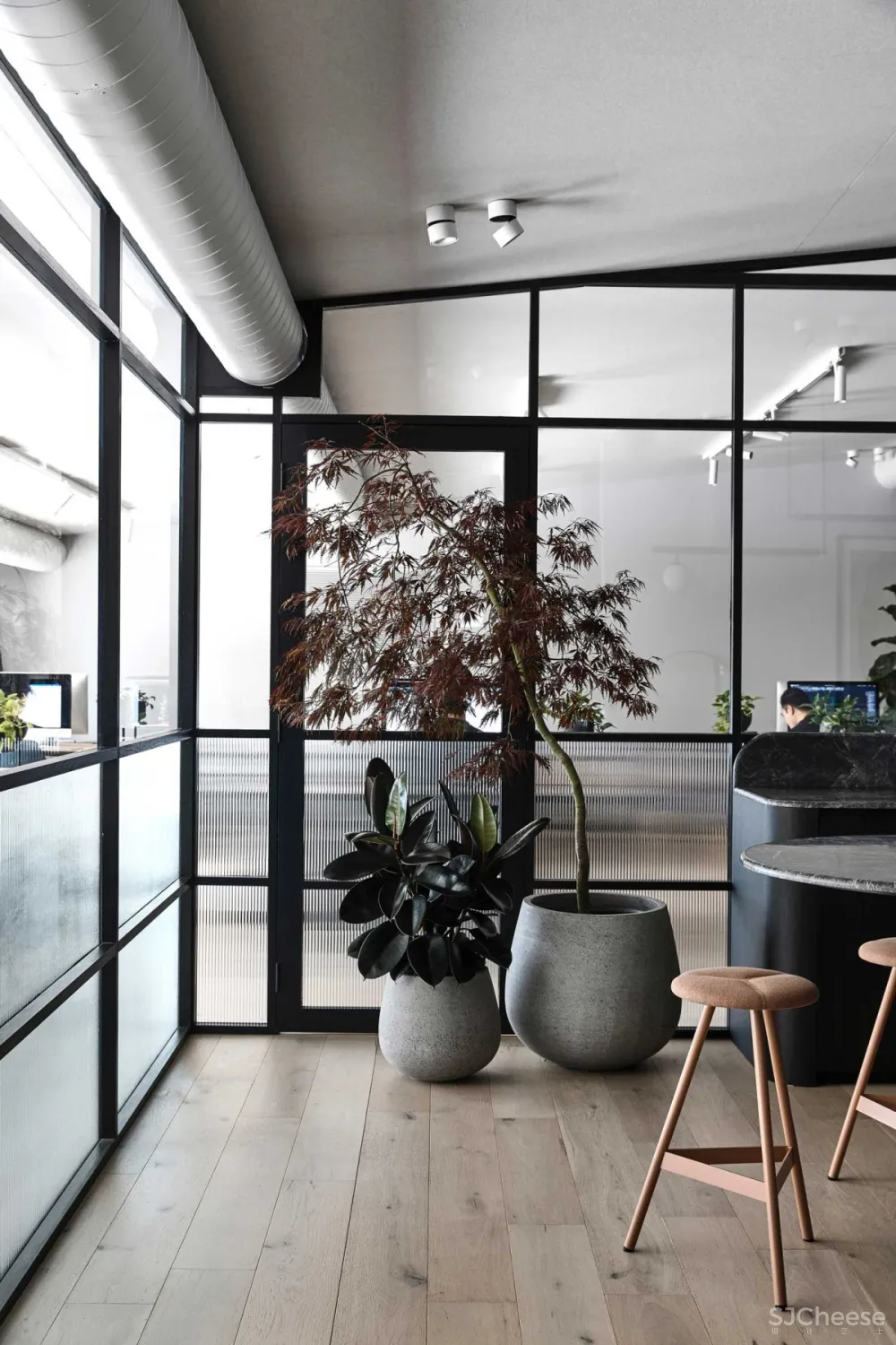 Biasol Studio | Cremorne Office , 大胆精致的办公空间