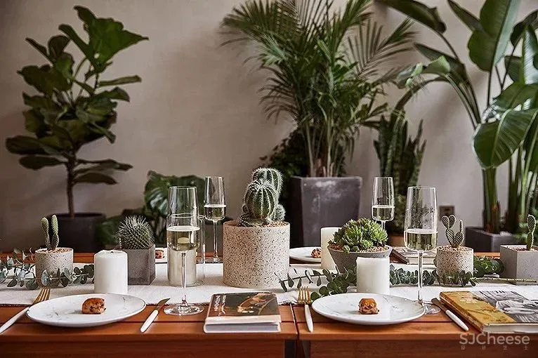 塔莎杜朵民宿｜时上空间设计