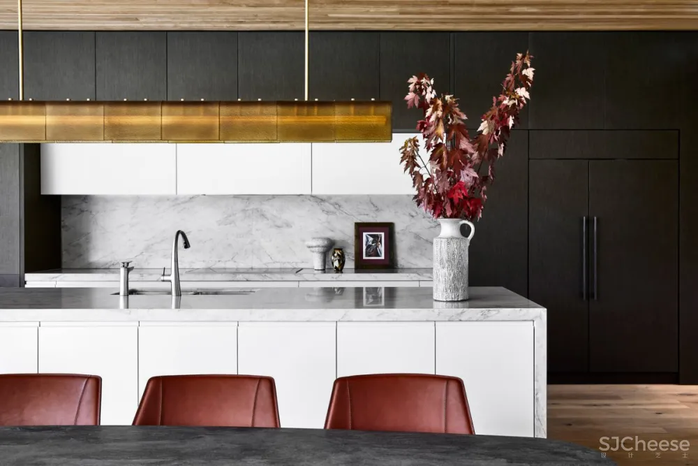 Watts Studio | A Home for Entertaining , 大胆个性的现代住宅