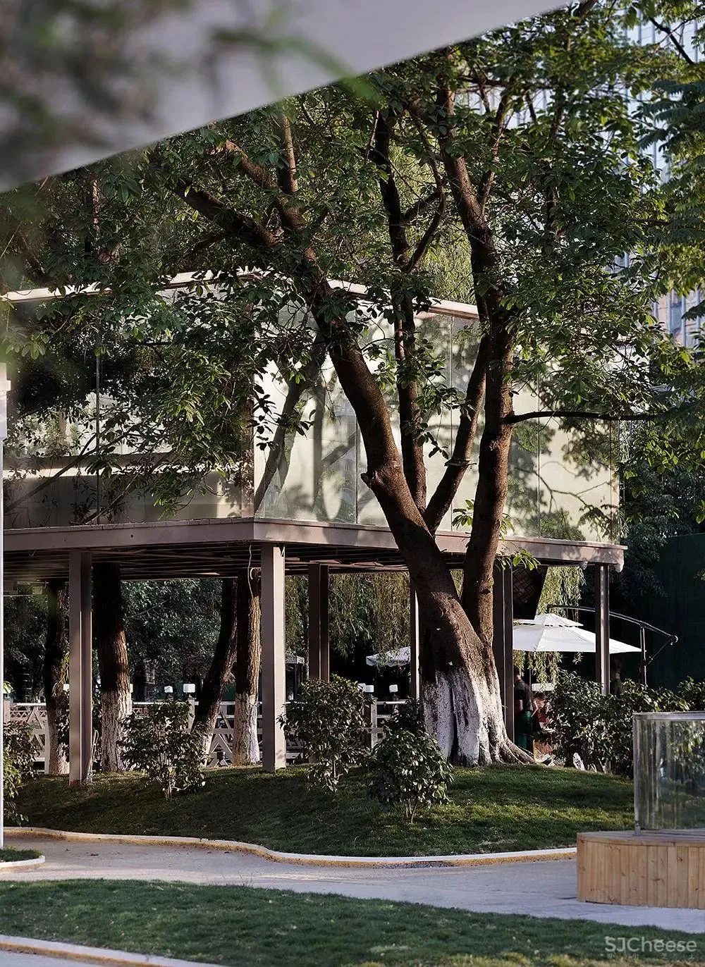 佳作 王怀庄 × 素梧：湖畔与树屋，现代而浪漫的白色餐厅