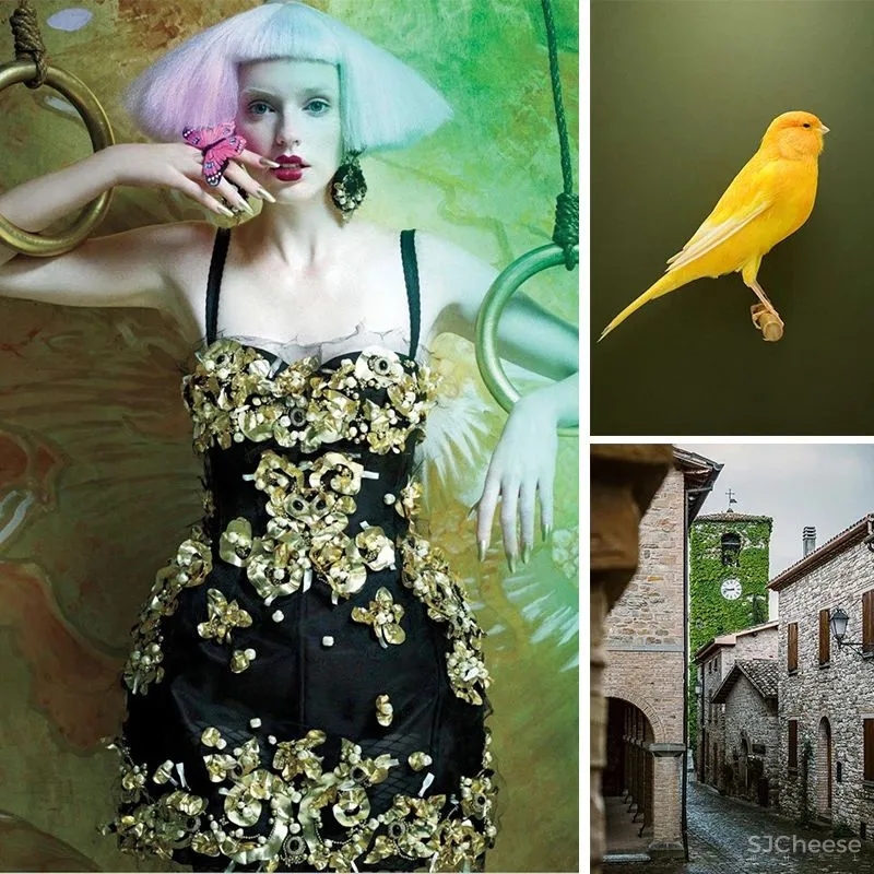 2020年首选的十大家居配色:靓丽暖色调来袭