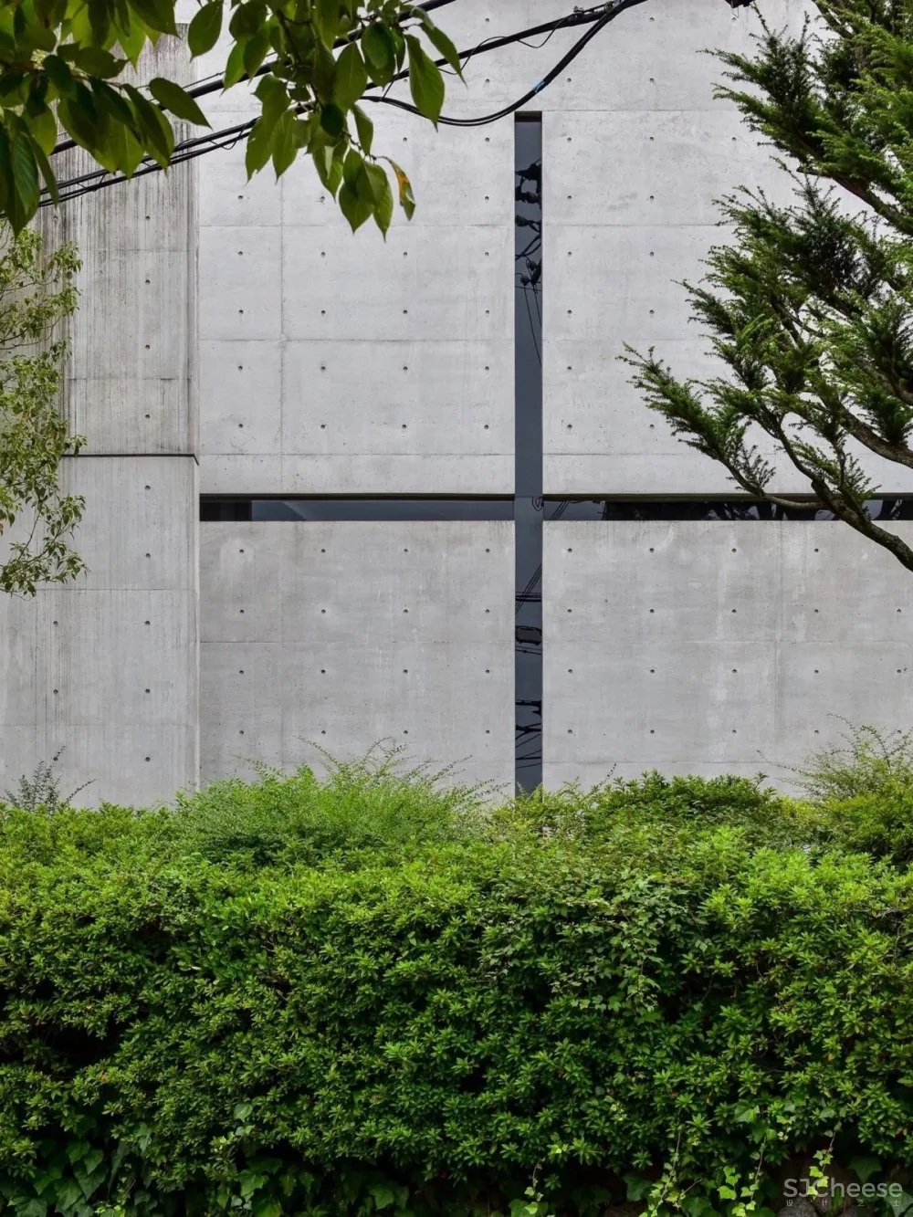 安藤忠雄丨清水混凝土诗人