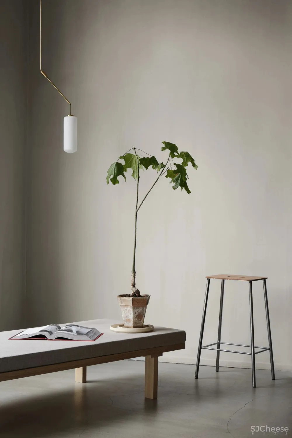 视觉的優雅演奏