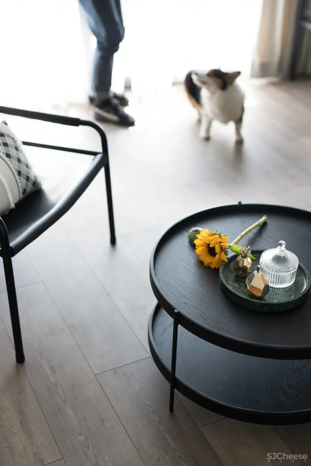 一屋两人两狗,干净利落有调性的家!