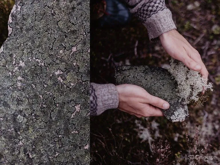 维多利亚女王的狩猎小屋,被Axel Vervoordt 徒弟改造成侘寂酒店