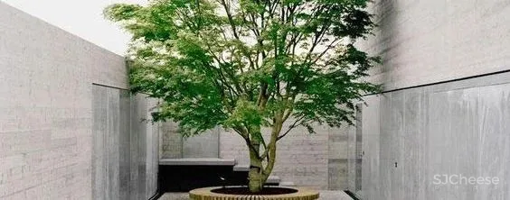 清雅之境,都市中重现山水般的诗意生活!