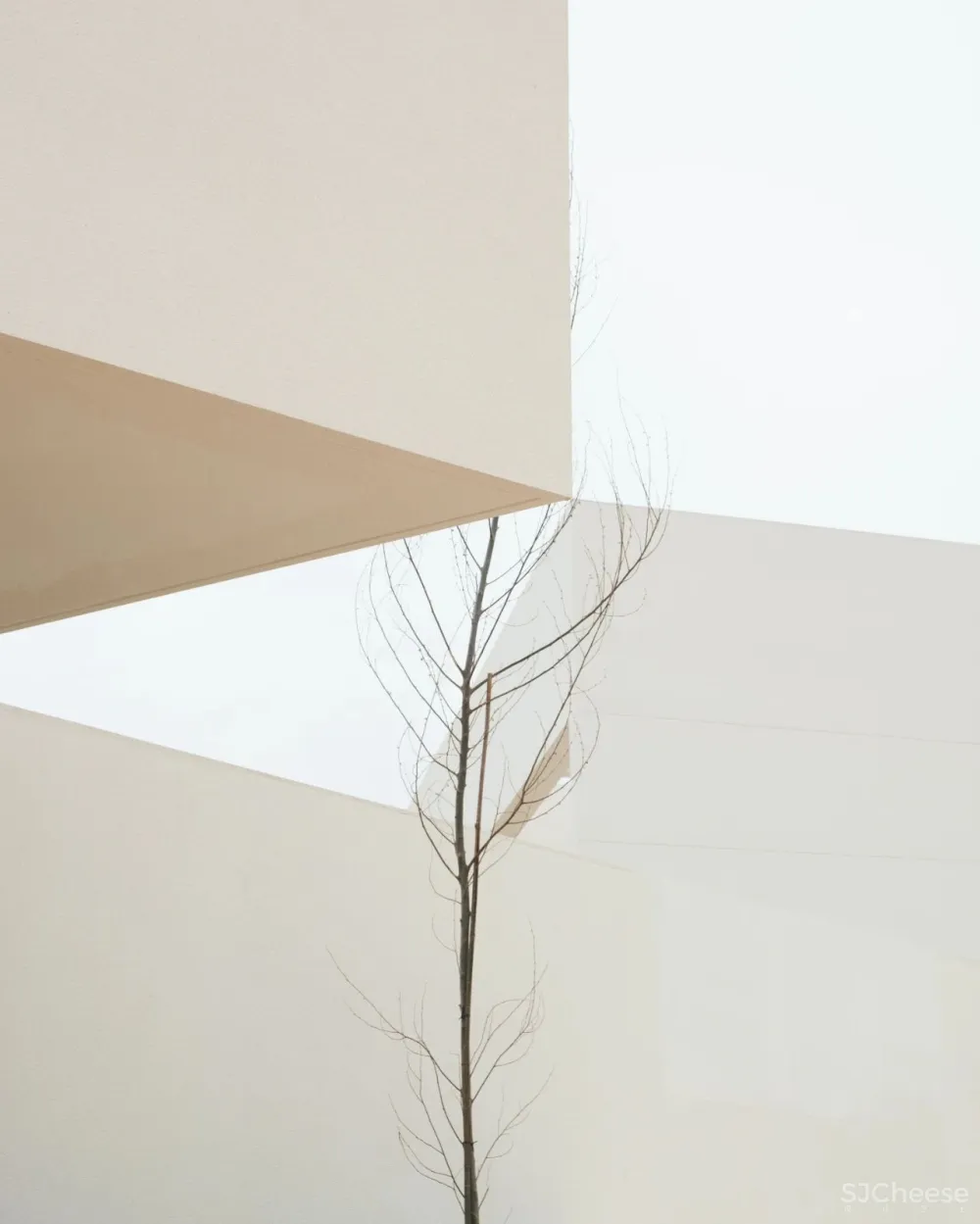 Balzar丨真诚空灵的建筑 纯粹而静谧