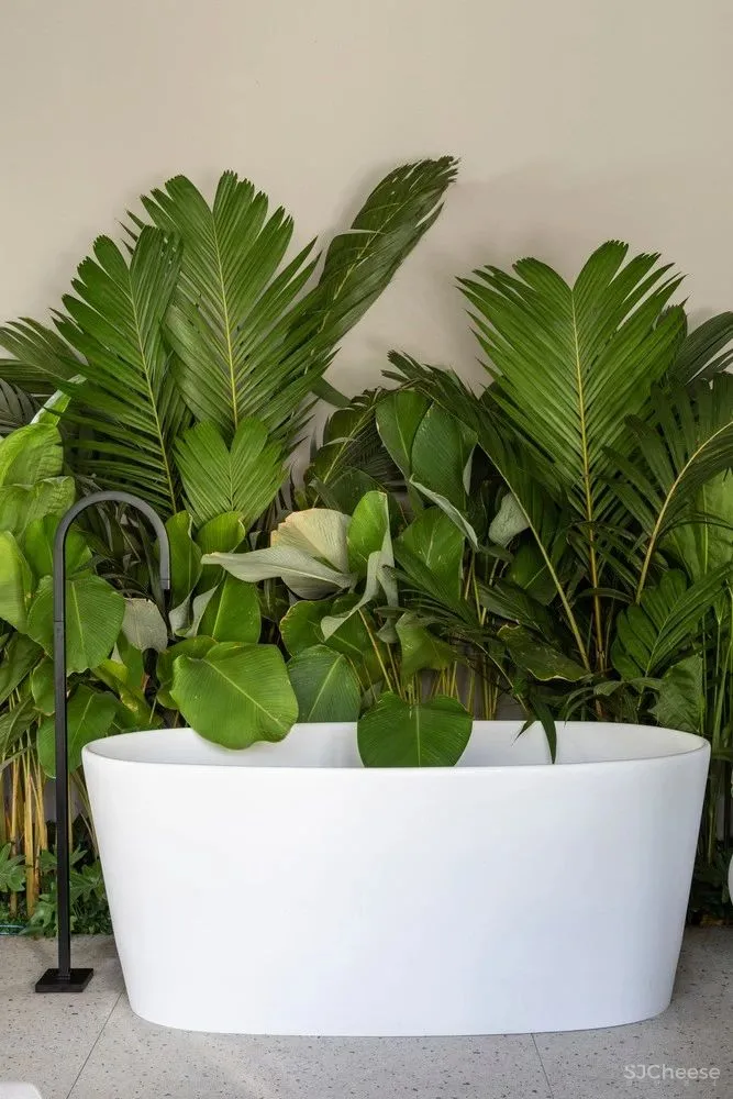 圣保罗 :GrãoHouse 的房子