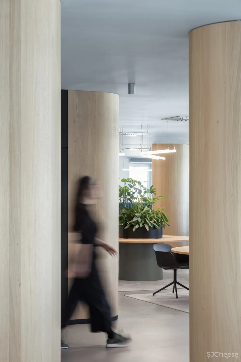 Autori | Roche Offfice , 现代舒适的办公空间