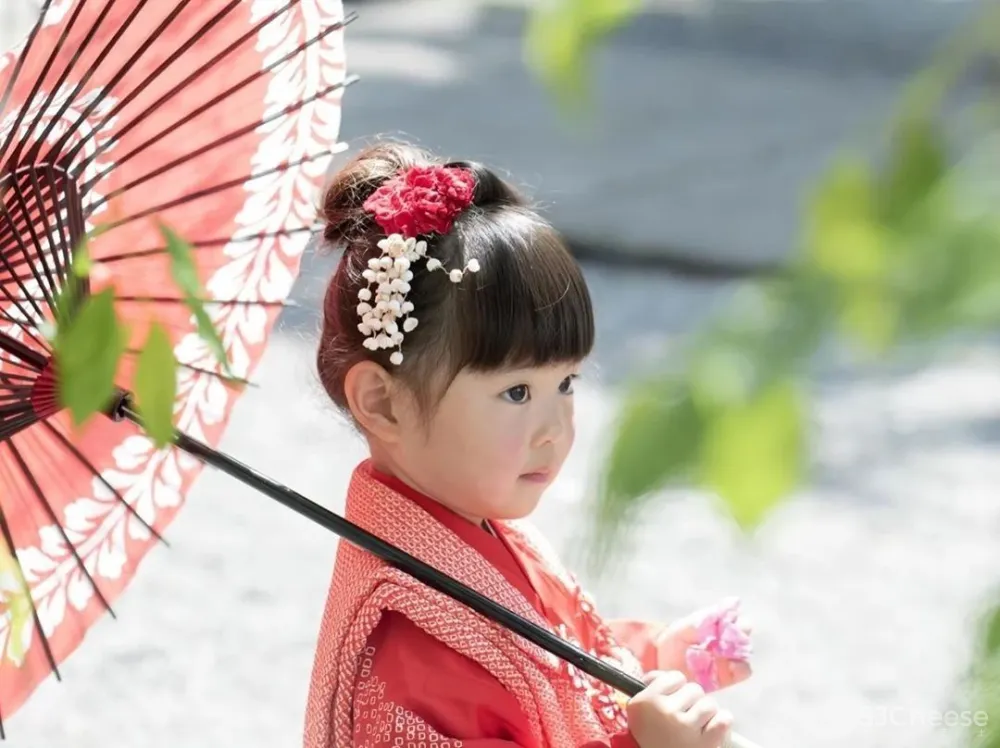 日本一主妇，晒100多㎡房子治愈无数人：没有客厅和电视，却是家居界的教科书！