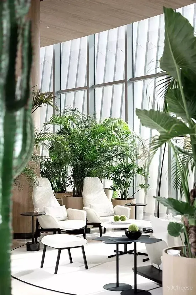 GBD 杜文彪专辑 售楼部