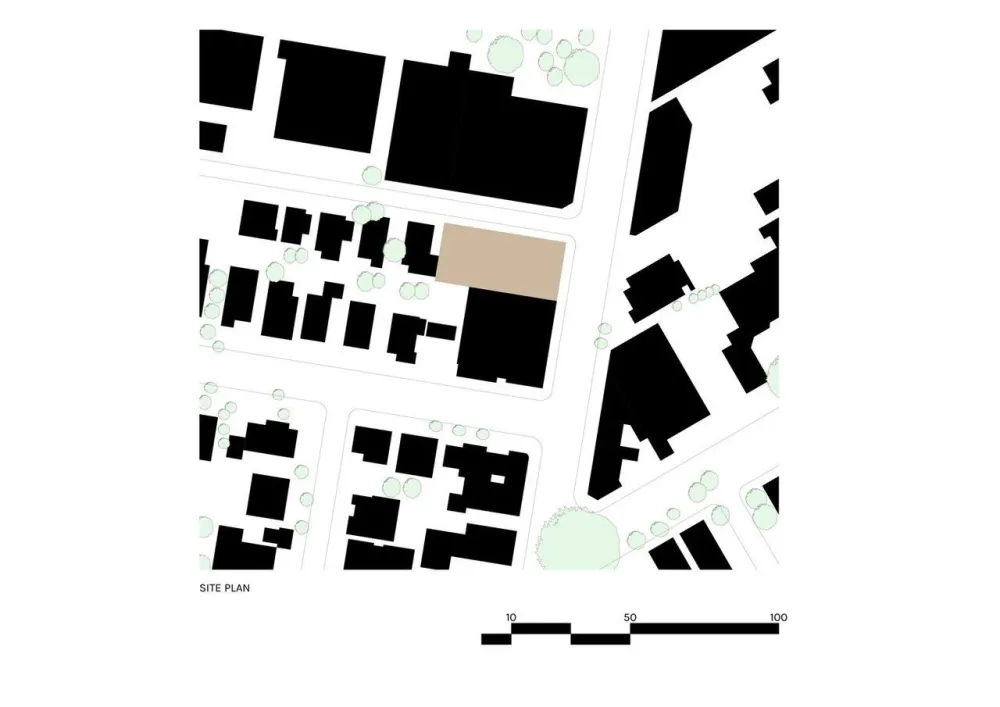 科技公司Scrunch的“丛林”工作场所