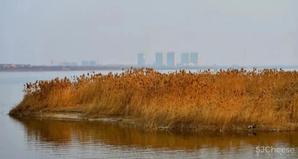 GBD 杜文彪专辑 售楼部