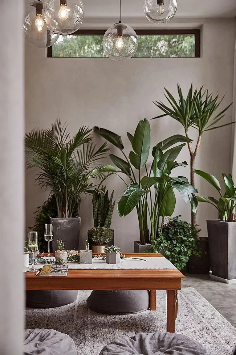 塔莎杜朵民宿｜时上空间设计