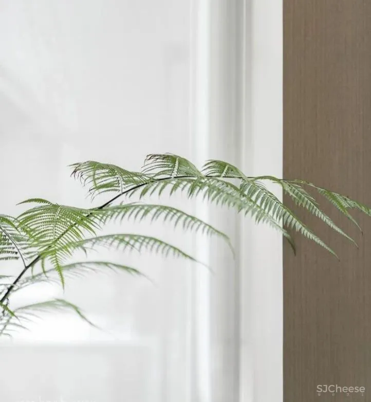 万科 · 中江苑软装项目