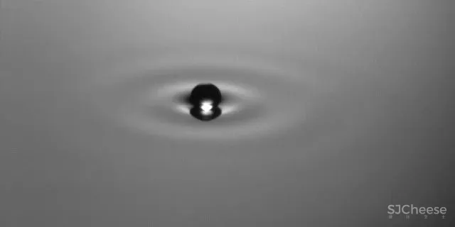 Panshine 派尚设计专辑