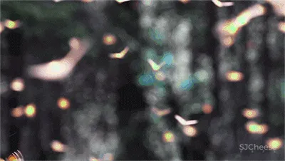 GBD 杜文彪专辑 售楼部