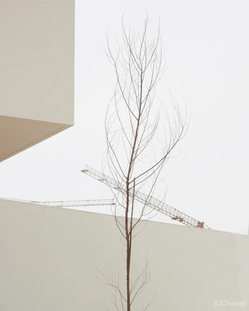 Balzar丨真诚空灵的建筑 纯粹而静谧