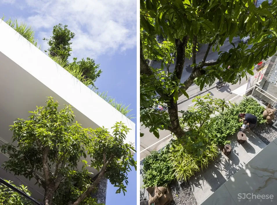 越南这个被低估的设计国度,竟藏了这么多绿色住宅