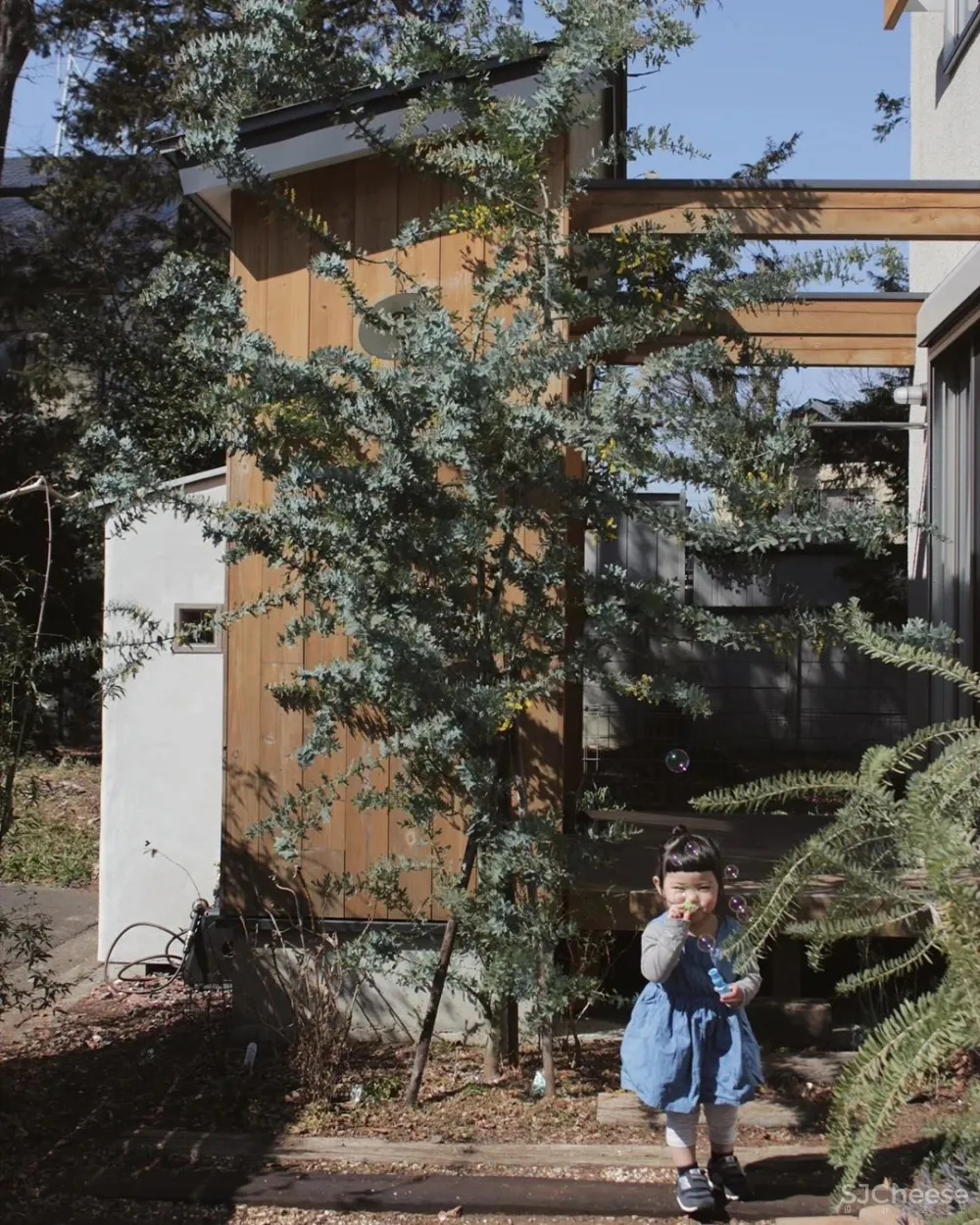 日本一主妇，晒100多㎡房子治愈无数人：没有客厅和电视，却是家居界的教科书！