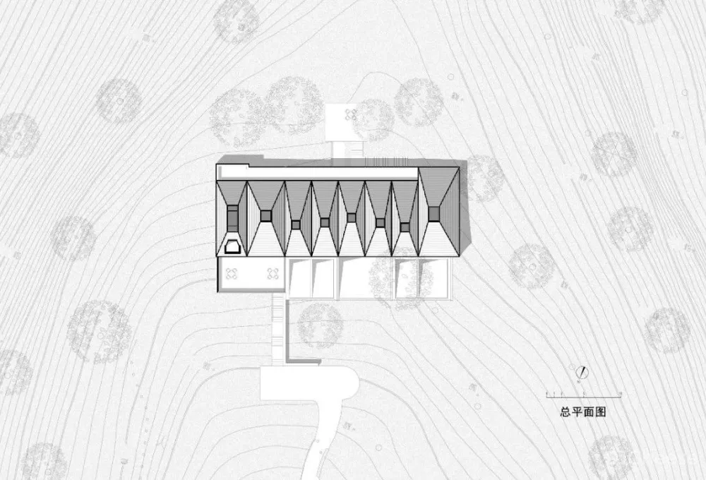 深山里的茶园民宿,美。