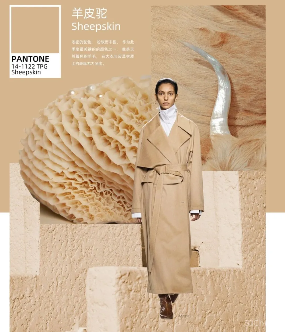 收藏 2020 22年度色彩热点趋势